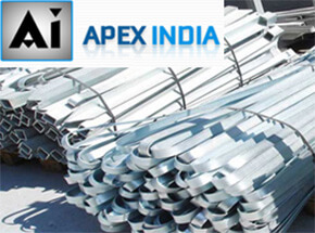 Apex India