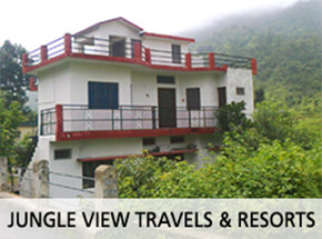 Jungle View Travels & Resorts