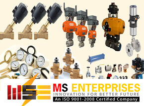 MS ENTERPRISES