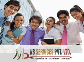 NB CONSULTANCY SERVICES