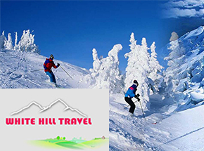 White Hill Travel